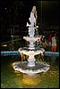 T100_4927 (5).JPG