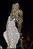 T100_4927 (7).JPG