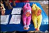 101_0053.JPG