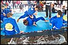 101_0276.JPG
