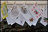 101_0091.JPG