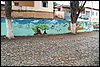 101_0819.JPG
