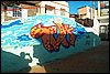 102_0614.JPG