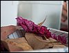 encontronaprac-15.jpg