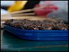 encontronaprac-18.jpg