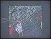 DSC08754.JPG