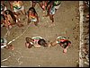 DSC00172.JPG