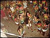 DSC00173.JPG