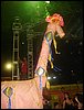 DSC00359.JPG