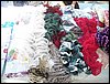 100_1637.JPG