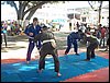 100_1704.JPG