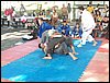 100_1719.JPG