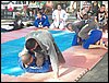 100_1726.JPG