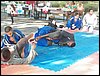 100_1727.JPG
