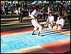 100_1791.JPG