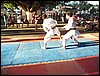 100_1814.JPG