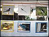 100_1827.JPG