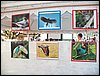 100_1831.JPG