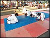 100_1839.JPG