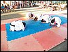 100_1840.JPG