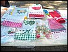100_2141.JPG