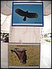100_2183.JPG