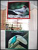 100_2184.JPG