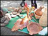 100_2213.JPG