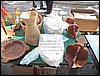 100_2221.JPG