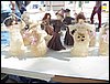 100_2226.JPG