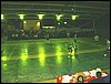DSC02406.JPG