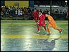 100_2882.JPG