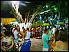 DSC06633.JPG