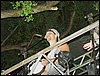 DSC06653.JPG