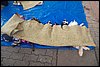 100_8526.JPG