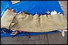 100_8529.JPG