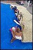 100_8531.JPG