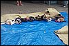 100_8533.JPG