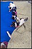 100_8535.JPG
