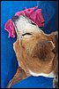 100_8538.JPG