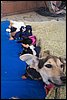 100_8539.JPG