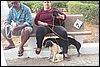 100_8541.JPG