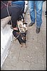100_8553.JPG