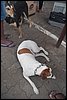 100_8554.JPG