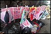 100_8566.JPG