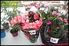100_8596.JPG