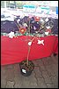 100_8611.JPG