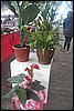 100_8612.JPG