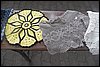 100_8628.JPG