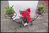 100_8632.JPG